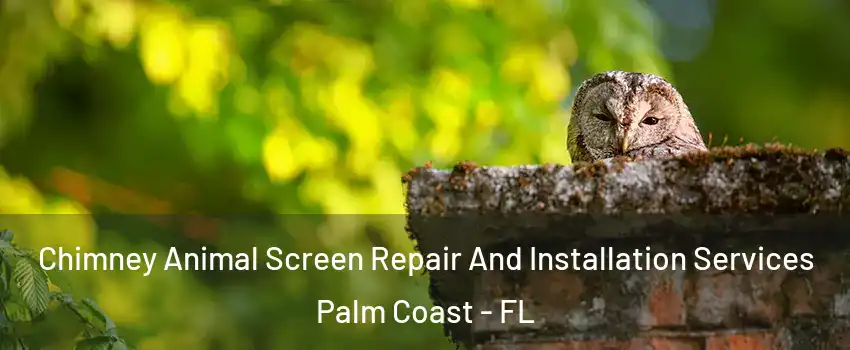  Chimney Animal Screen Repair And Installation Services Palm Coast - FL
