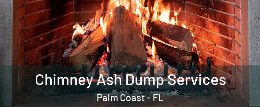  Chimney Ash Dump Services Palm Coast - FL