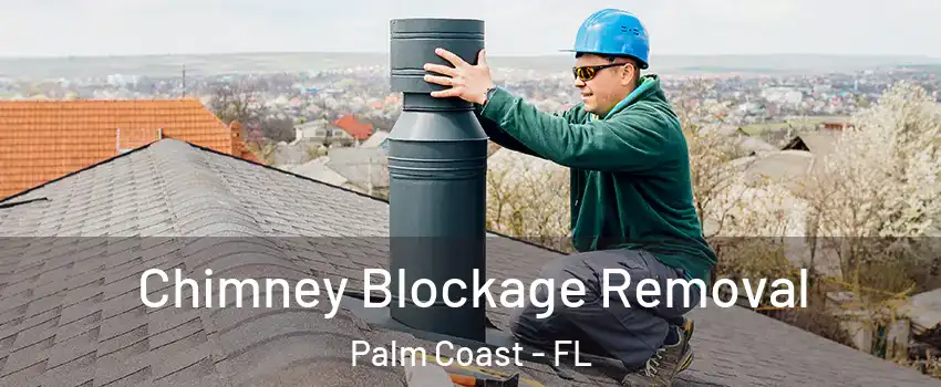 Chimney Blockage Removal Palm Coast - FL