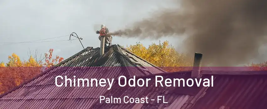  Chimney Odor Removal Palm Coast - FL