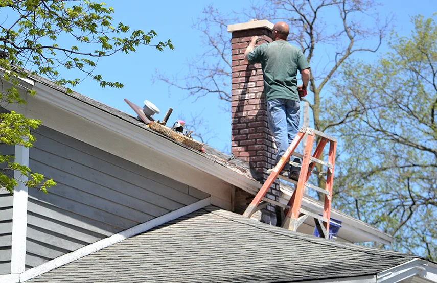 Chimney & Fireplace Inspections Services in Palm Coast, FL