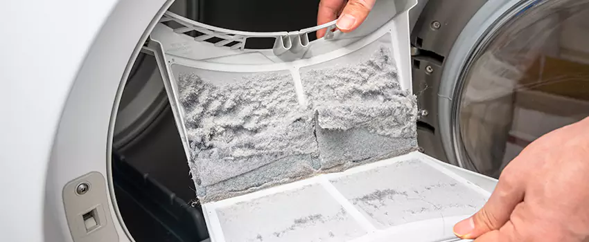 Best Dryer Lint Removal Company in Palm Coast, Florida