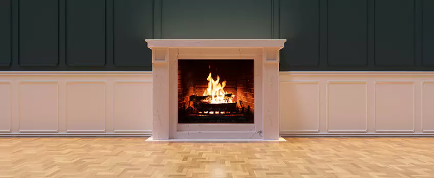 Napoleon Electric Fireplaces Inspection Service in Palm Coast, Florida