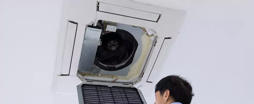 Benefits of Professional Air Duct Cleaning in Palm Coast, Florida