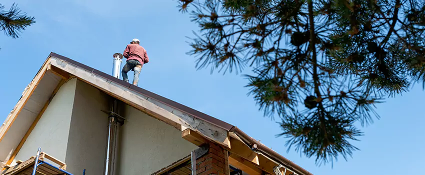 Birds Removal Contractors from Chimney in Palm Coast, FL