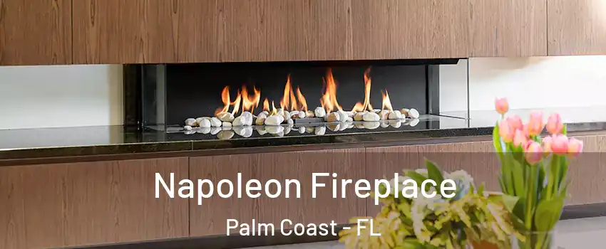  Napoleon Fireplace Palm Coast - FL